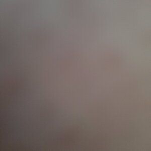 Mk emerald green wallet